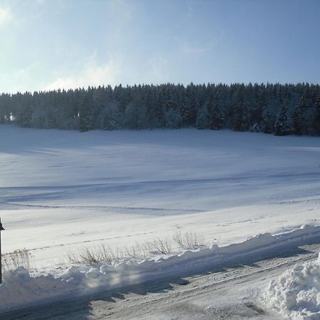 Apartment Sonnenschein Braunlage Dış mekan fotoğraf