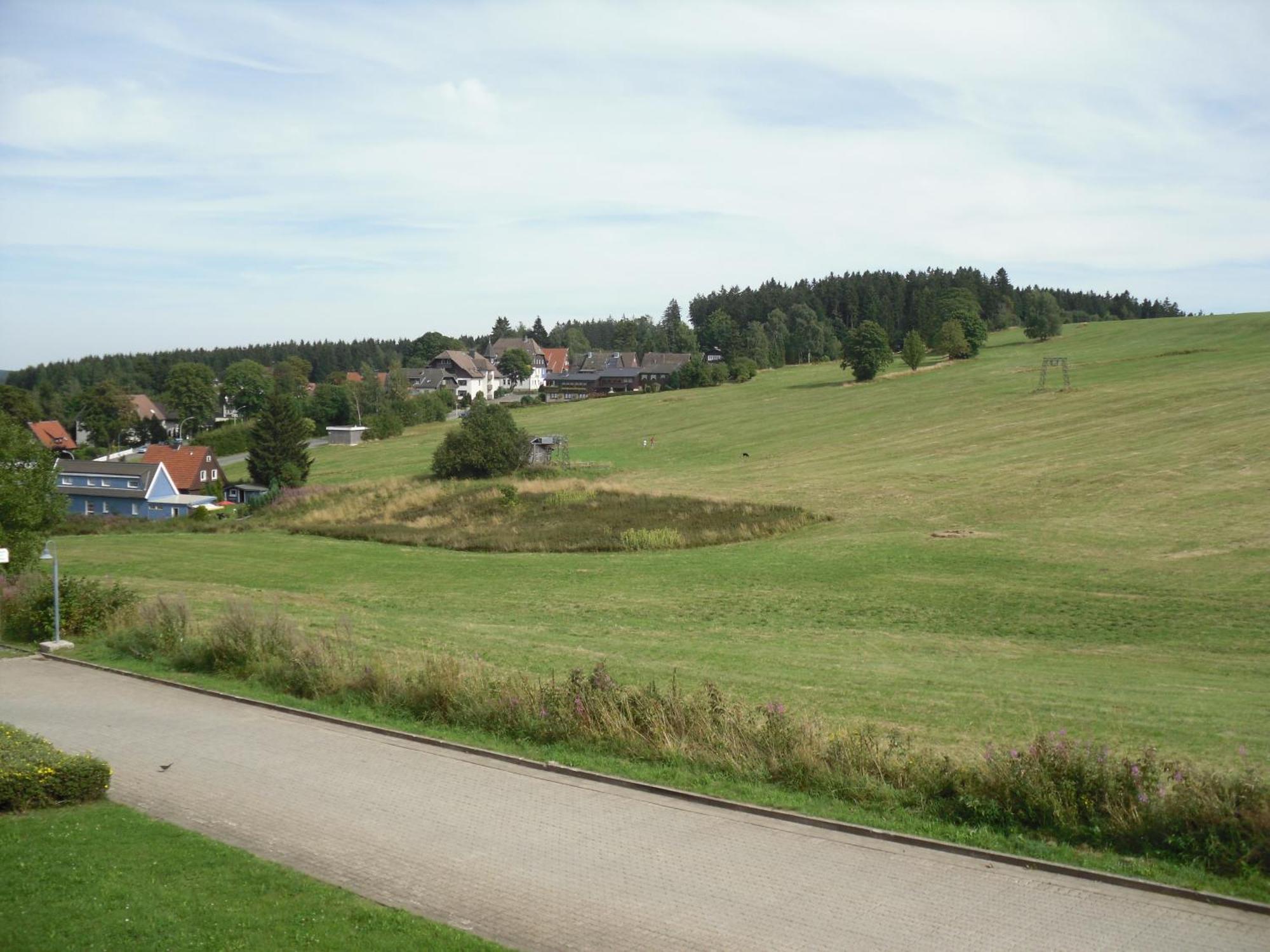 Apartment Sonnenschein Braunlage Dış mekan fotoğraf