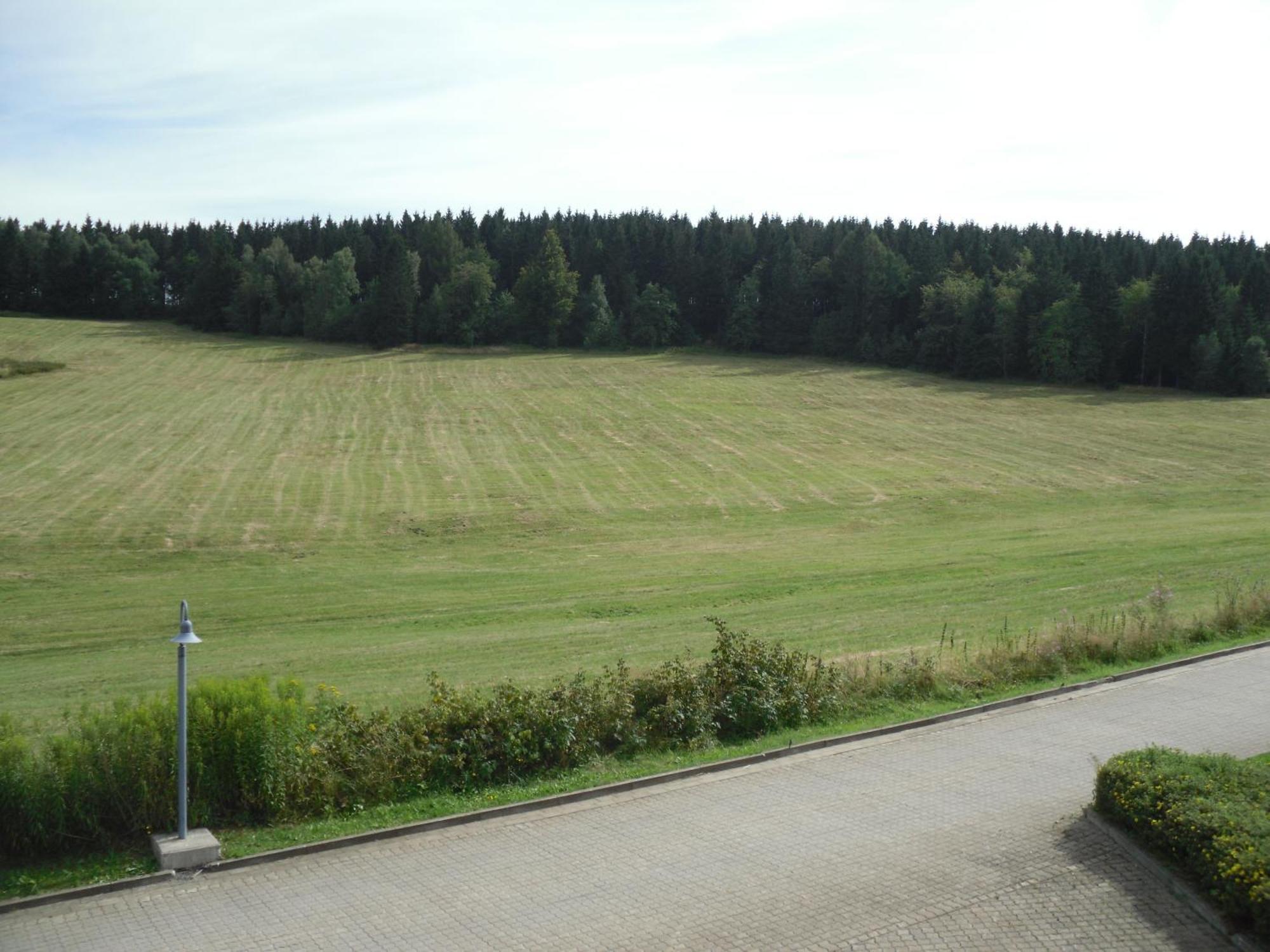 Apartment Sonnenschein Braunlage Dış mekan fotoğraf